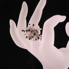 Sunwave in Black/White