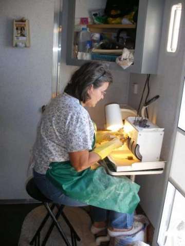 Polishing rocks (cabochons)