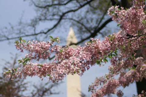 Washington Monument, DC