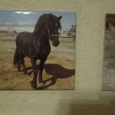 Ceramic Tile with Dyed Picture