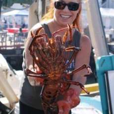 Good Food at the Santa Barbara Seafood Festival