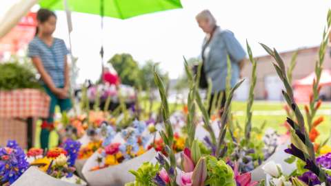 Auburn Farmers Market - July