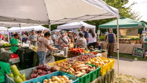 Auburn Farmers Market - September