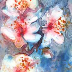 Cherry Blossom II