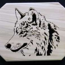 Wolf Portrait