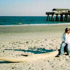 Demetria Nickole Phillips