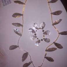 Sea Shell / Oyster Shell