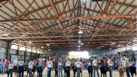 Lyon County Fair