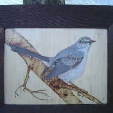 Mockingbird