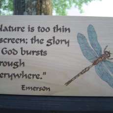 Dragonfly with quote