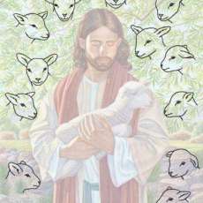 Find My Lambs Hidden Treasures Key