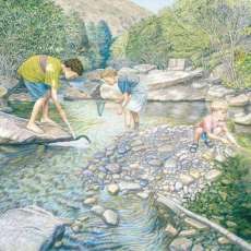 Friendly Competition