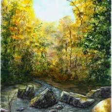 Rock Creek Park, Washington D.C.