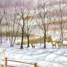 Gaithersburg MD, Winter 09