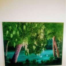 Early Morning in the Everglades