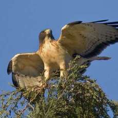 Alan and Debra Baisley