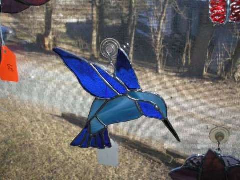 a blue humming bird