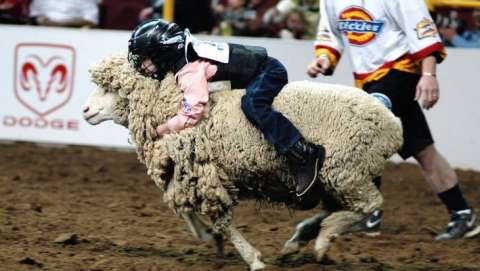 Franklin County Fair