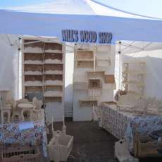 Arts In Kayenta, Saint George, UT 2/13/2010