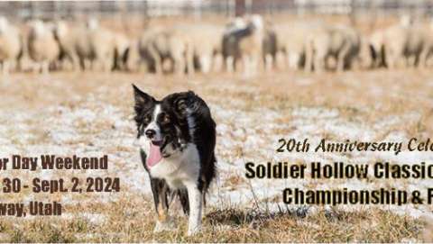 Soldier Hollow Classic Sheepdog Championship