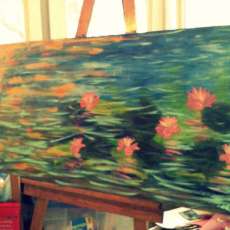 my waterlilies