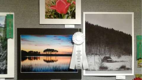 Kingsport Spring Spectacular Photography Contest