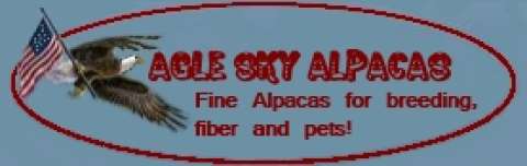 Jeff Bascom Jeff Bascom