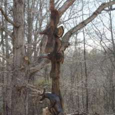 20 Foot On-Site Carving