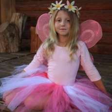 The Very Pink Fairy Tutu Costume