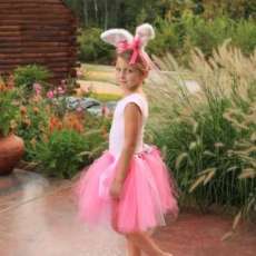 Happy Hoppy Bunny Costume