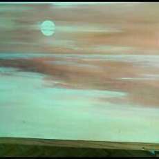 Oil Spill / The future?