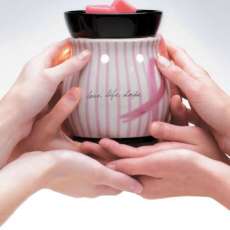 Breast Cancer warmer