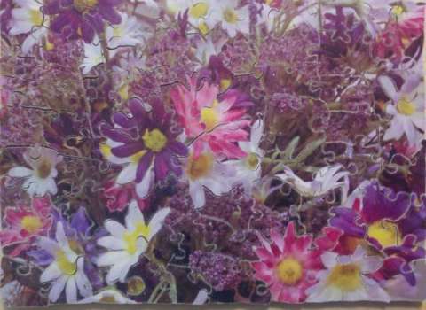 Daisy variety jigsaw puzzle