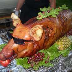 Pig Roast