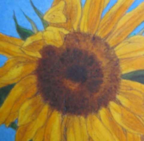 Marjorie E. McNelly Marjorie E. McNelly