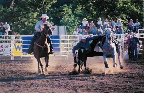 Cowboy Bob