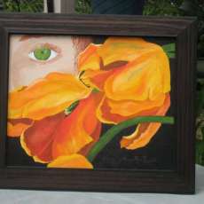 vistazo a los tulipanes