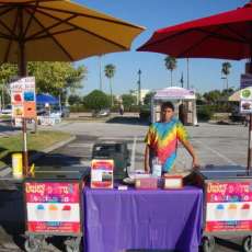 Best Dressed Dog Contest in Waterford Lakes