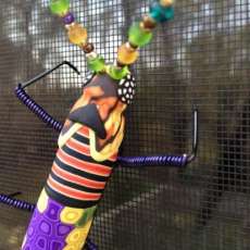 Long Bug Screen Ornament