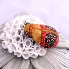 Leaf Beetle Tile 253