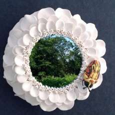 Flower Bug Mirror 296