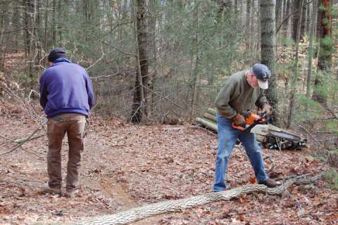 In the Forest cutting wood for candles