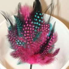 feather  headband