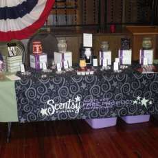 Scentsy Wickless Candles