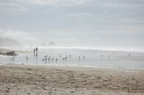 WALK ON THE BEACH