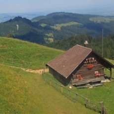 Home in the Swiss Alps