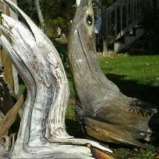 Driftwood Tern and Seal