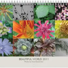 Beautiful World 2011 calendar