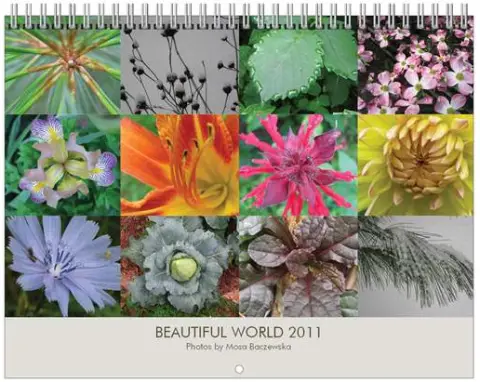 Beautiful World 2011 calendar