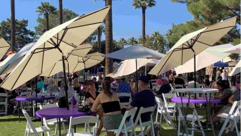 Litchfield Park Festival of Arts